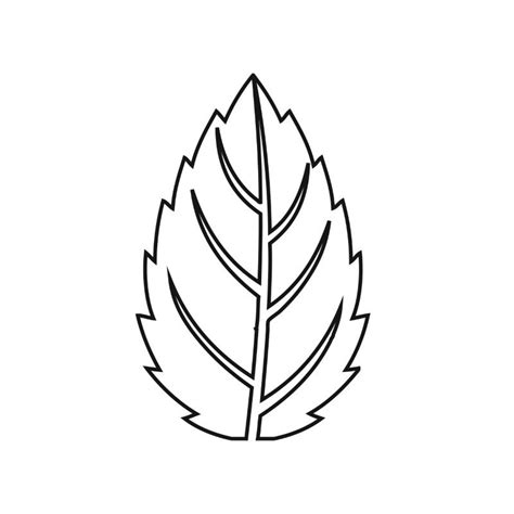 Hazel leaf vector outline - freepng