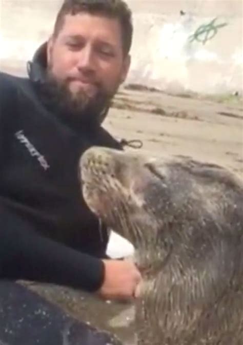 Sea Lion Pup Rescued by Surfer Video