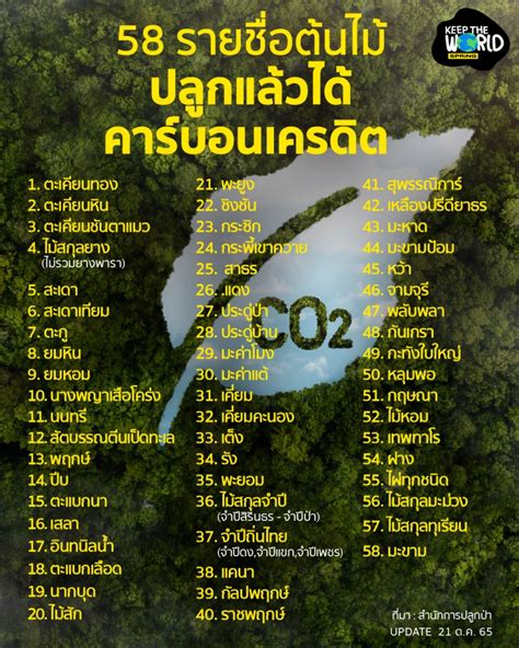 58 รายชอตนไม ปลกแลวได คารบอนเครดต รกษโลกแถมสรางรายได