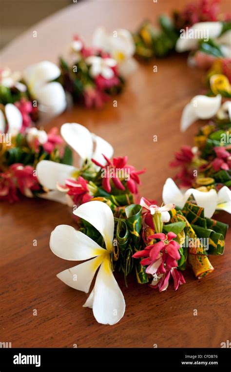 Fiji flower hi-res stock photography and images - Alamy