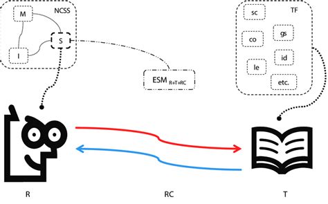 Interaction Between Reader And Text During The Comprehension Of Texts