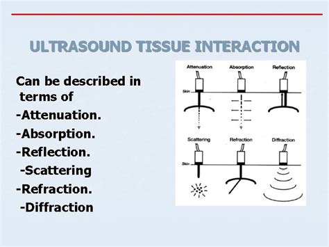 INTRODUCTION TO MEDICAL ULTRASONOGRAPHY Basic Introduction to Ultrasound