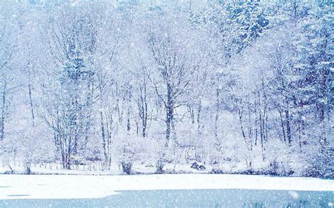 Fantastic Winter Scene Hd Desktop Background wallpapers HD free ...