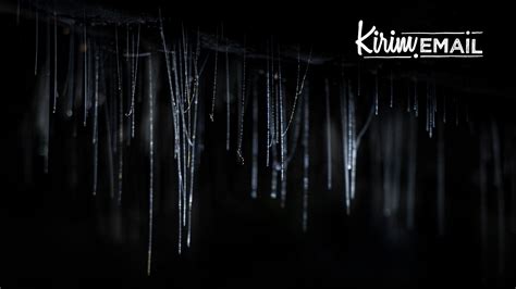 mengenal  perbedaan dark web  deep web