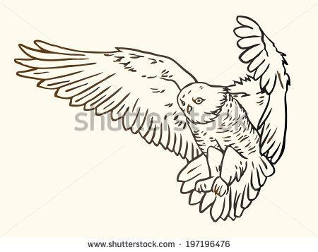 Flying Owl Illustration Black And White