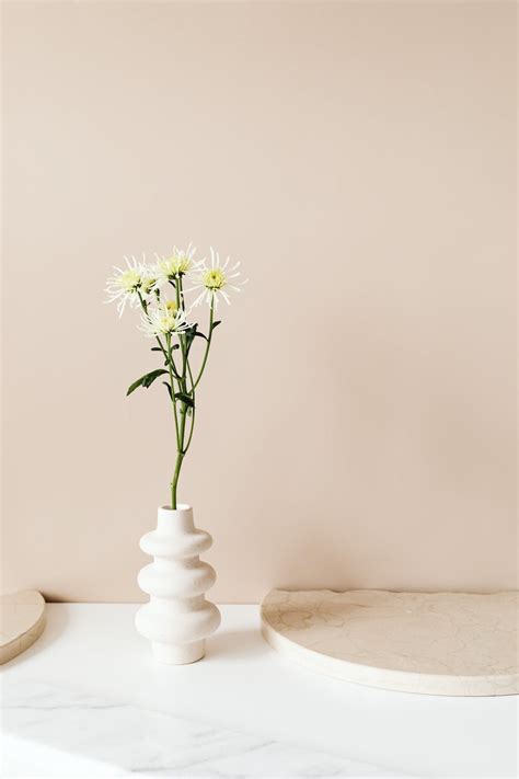 White Flowers on White Vase · Free Stock Photo