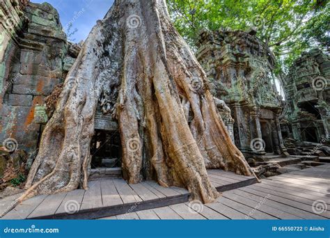 Angkor Wat Kambodscha Alter Buddhistischer Tempel Khmer Ta Prohm