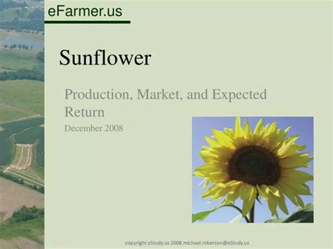 Ppt Sunflower Powerpoint Presentation Free Download Id 3850756