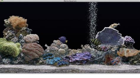 top  tua game kieu nuoi ca trong rau thu gian tuyet voi