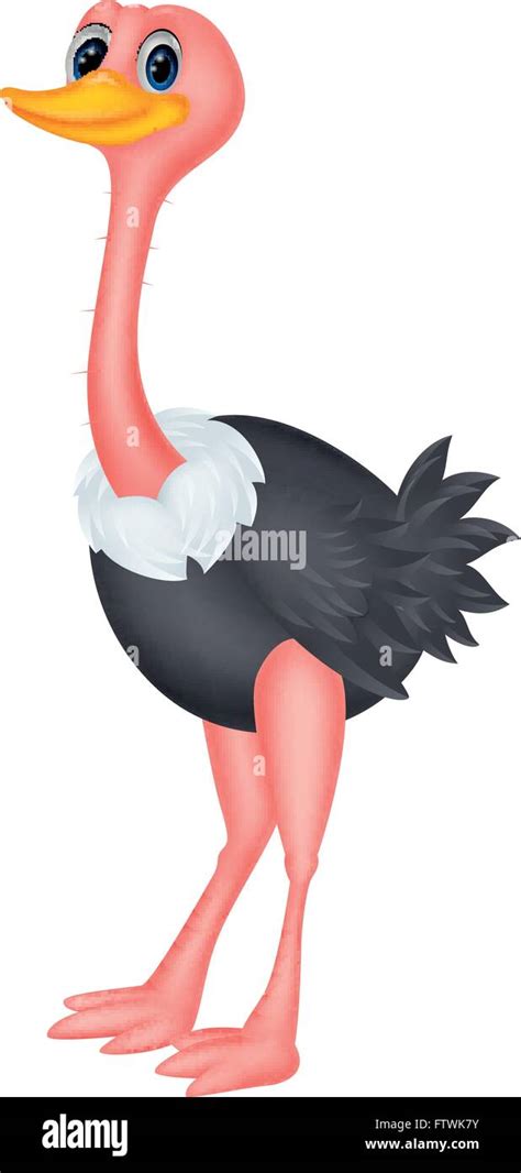 Cute Ostrich Cartoon Stock Vector Image And Art Alamy