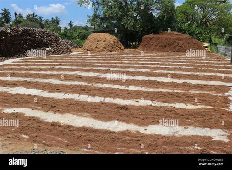 Making Coconut coir. Factory of Coconut Fiber Stock Photo - Alamy