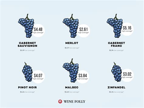 Why is Wine So Expensive? | Wine Folly