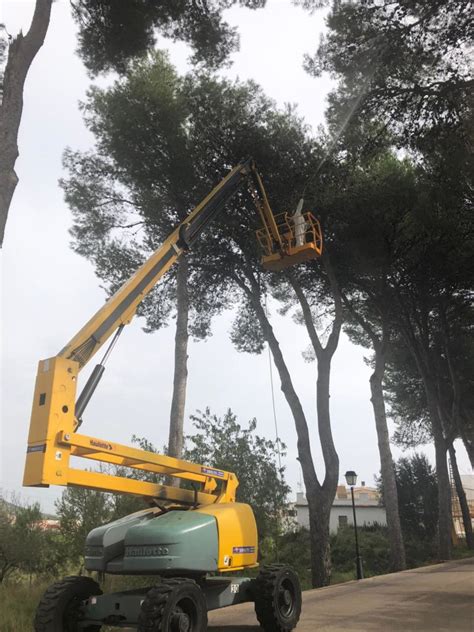 Santa Magdalena realiza tratamiento de prevención de la procesionaria