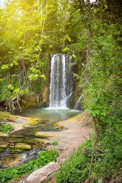 Premium Photo Beautiful Waterfall In Green Forest Among Trees