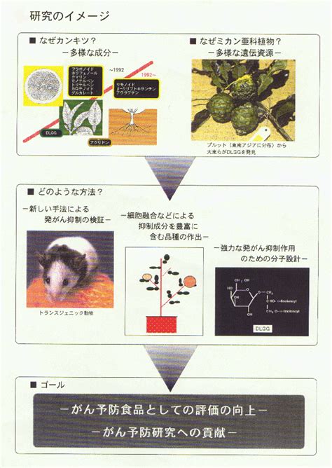 生物系特定産業技術研究支援センター新技術・新分野創出のための基礎研究推進事業 農研機構