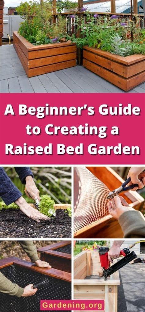 A Beginners Guide To Creating A Raised Bed Garden