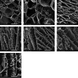 A Ftir Spectra Of Sf Pva Sf Hydrogels And Paeonol Loaded Pva Sf