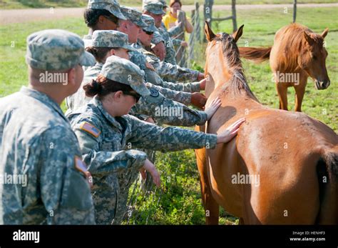 Soldiers With The Iii Corps Headquarters And Headquarters Battalion Pet