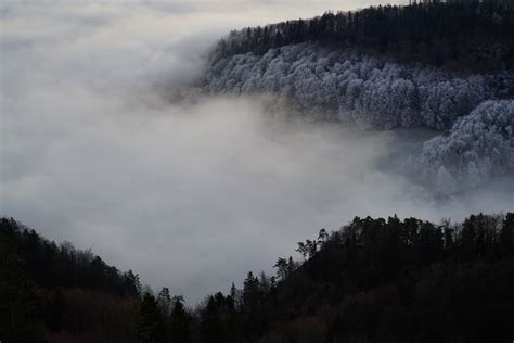 Kostenlose Foto Landschaft Baum Wald Wildnis Berg Kalt Winter