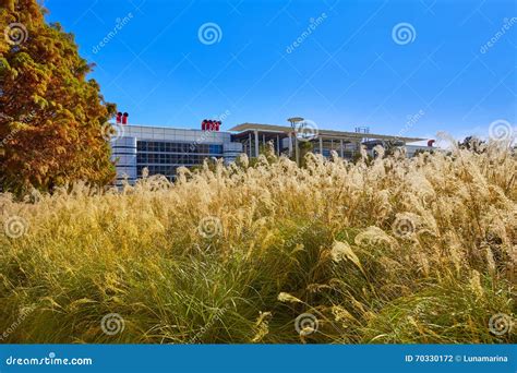 Houston Discovery Green Park in Texas Stock Photo - Image of houston ...