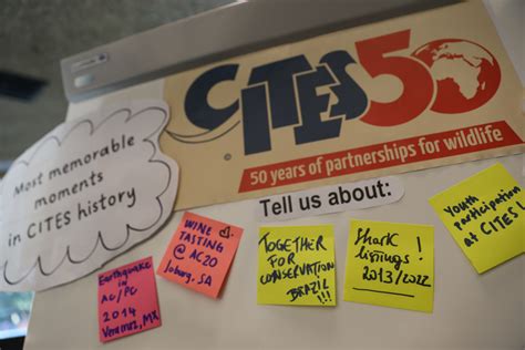 CITES At 50 SC77 8Nov23 Photo IISD Earth Negotiations Bulletin