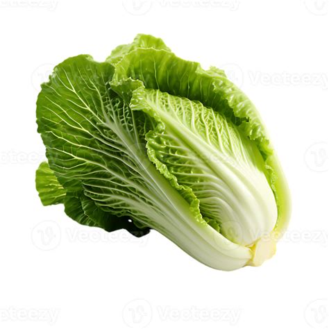 fresh chinese cabbage 28830608 PNG