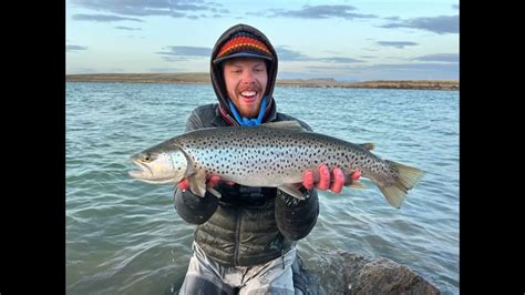 Master Angler Brown Trout At Antero Reservoir Youtube