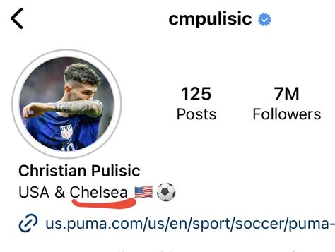 Usmnt Vs Haters On Twitter Pulisic Added Chelsea In His Bio