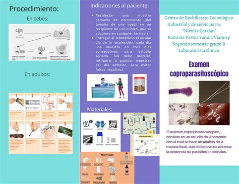 Triptico Examen Coproparasitosc Pico Indicaciones De Como Tomar La