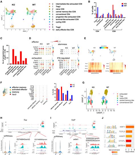 Socs Deletion In Effector T Cells Confers An Anti Tumorigenic Role Of