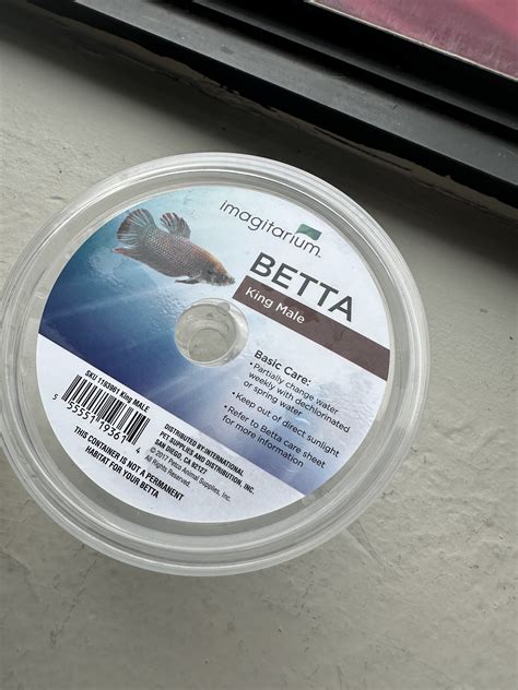 Petco Betta Fish - Need Help | Betta Fish Forum