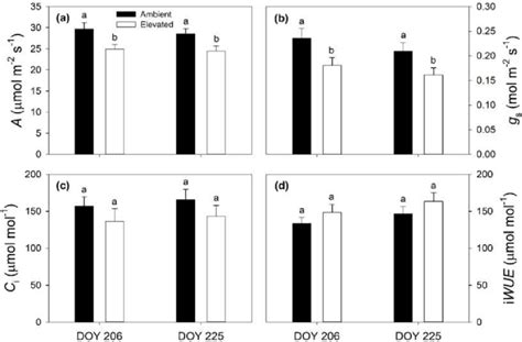 Average Values Of Net CO2 Assimilation Rate A A Stomatal