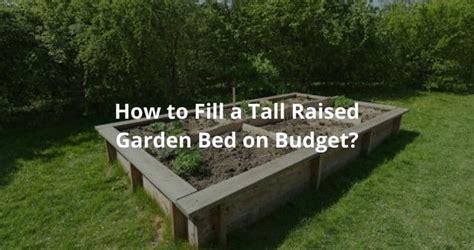 How To Fill Tall Raised Garden Beds