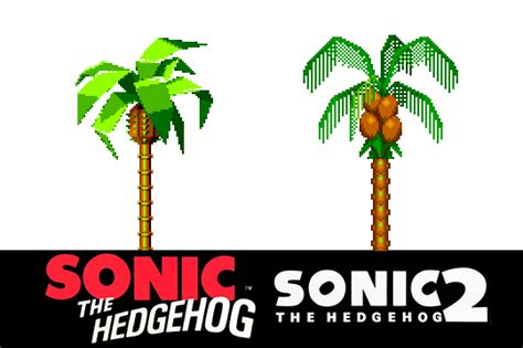 Sonic The Palmtree Sonic Hedgehog Birthday Sonic The Hedgehog