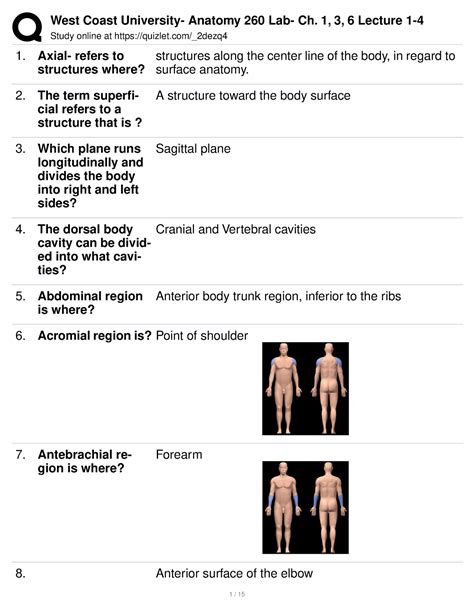 Anat Study Chapt 1 Helpful Study Online At Quizlet 2dezq Axial