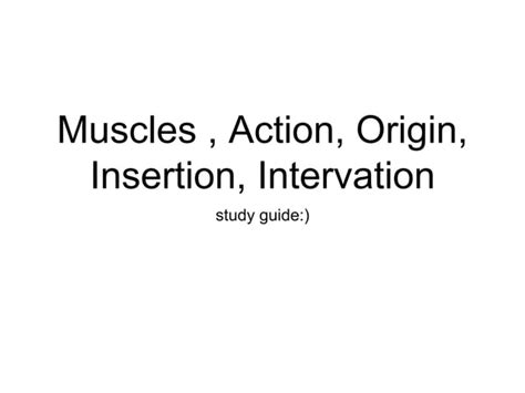 Muscles Study Guide Word Doc Ppt