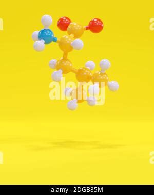 Leucine L Leucine Leu L Amino Acid Molecule 3D Rendering Atoms