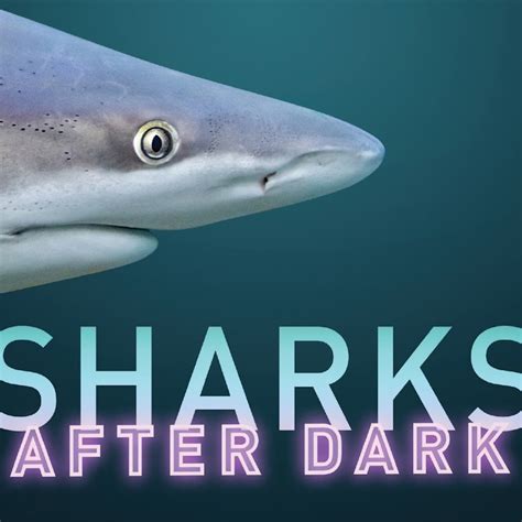 Ripley's Aquarium of Canada: Sharks After Dark | Tiqets