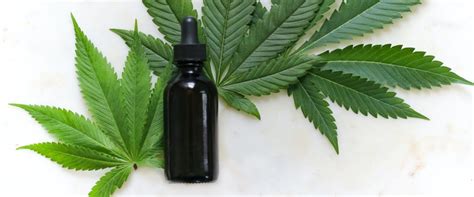 What are the negative side effects of thc tincture?