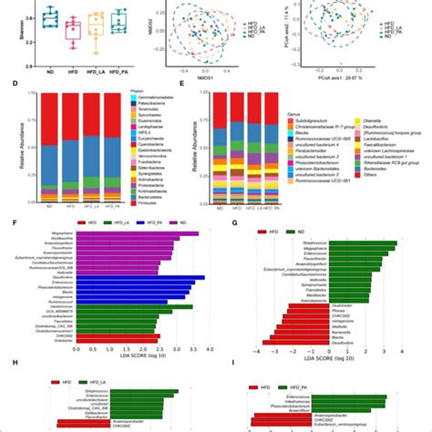 | Akkermansia muciniphila changed the composition of the gut microbiota ...