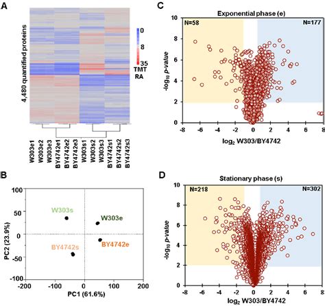 Figure From Comparative Proteomic Analysis Of Two Commonly Used