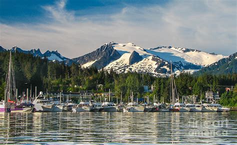 Auke Bay Photograph By Robert Bales