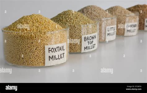 positive millets  res stock photography  images alamy