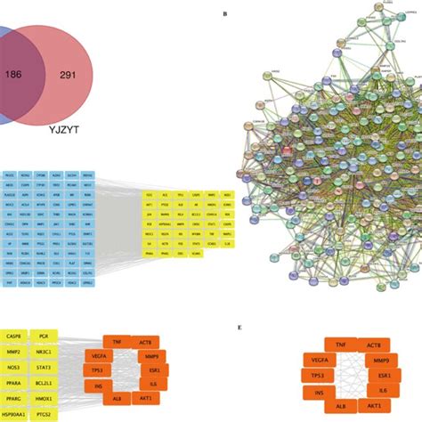 Protein Protein Interaction PPI Network And Cluster Analysis Of