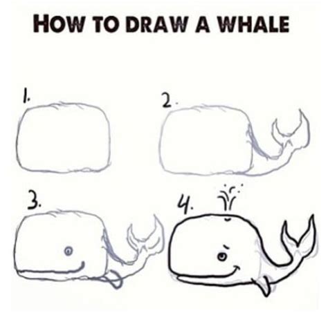 How To Draw A Whale Step By Step Easy Draw It Out