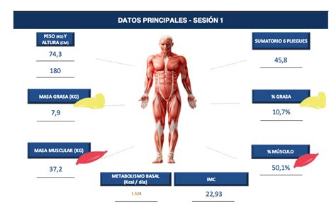 An Lisis Y Valoraci N De La Composici N Corporal Ciclo