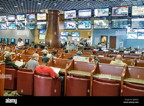 Gulfstream Park Racetrack Rennbahn Vollblut Pferderennbahn Fotos Und