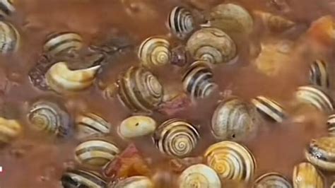 Descubre La Fascinante Receta De Los Caracoles De Mar