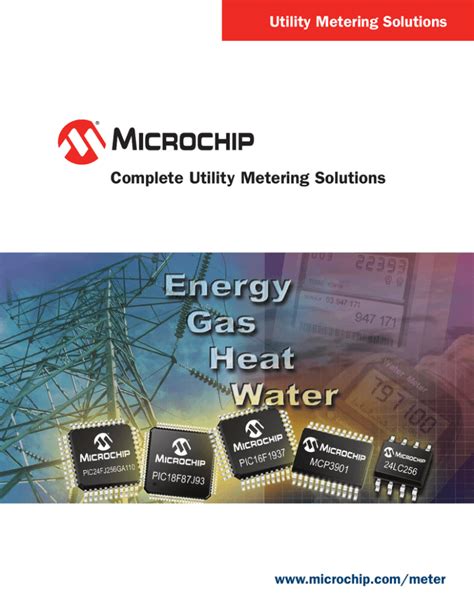 Complete Utility Metering Solutions