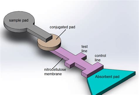 Schematic of a paper device based on a colorimetric assay | Download ...